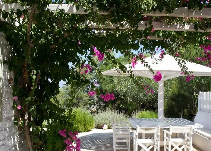 Joy In Ampelas Paros ヴィラ Isterni (Paros)