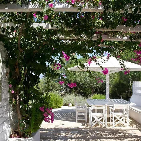 Joy In Ampelas Villa Parikia (Paros)