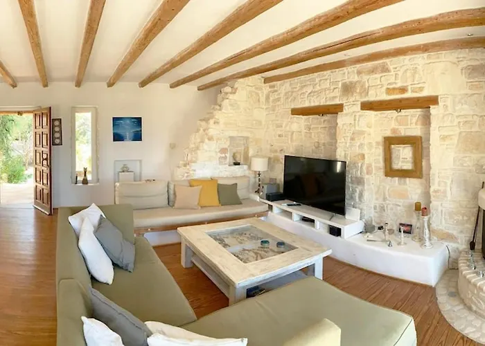 Joy In Ampelas Paros